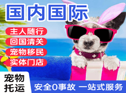 芜湖宣州机场物流国际宠物托运 【国